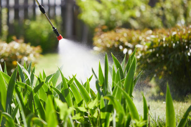 24/7 Emergency Mosquito Control experts in Casselton, ND